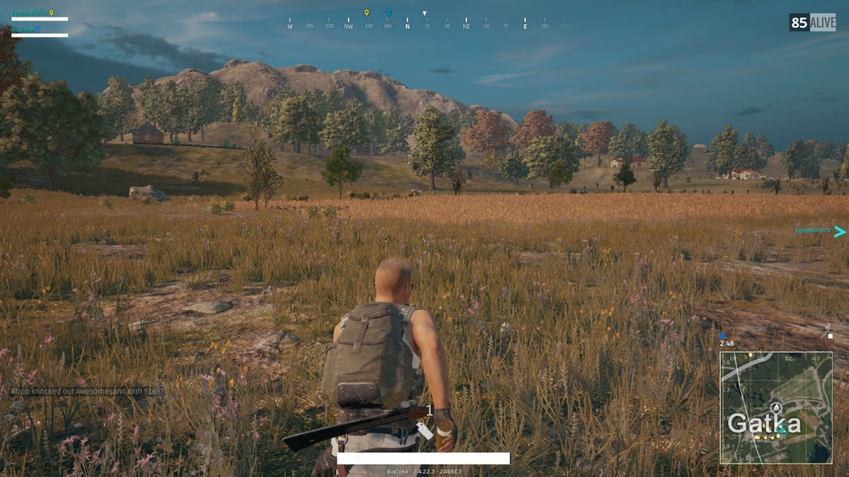 Pubg не запускается дальше заставки